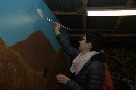 Pittura montagne (Ilaria)